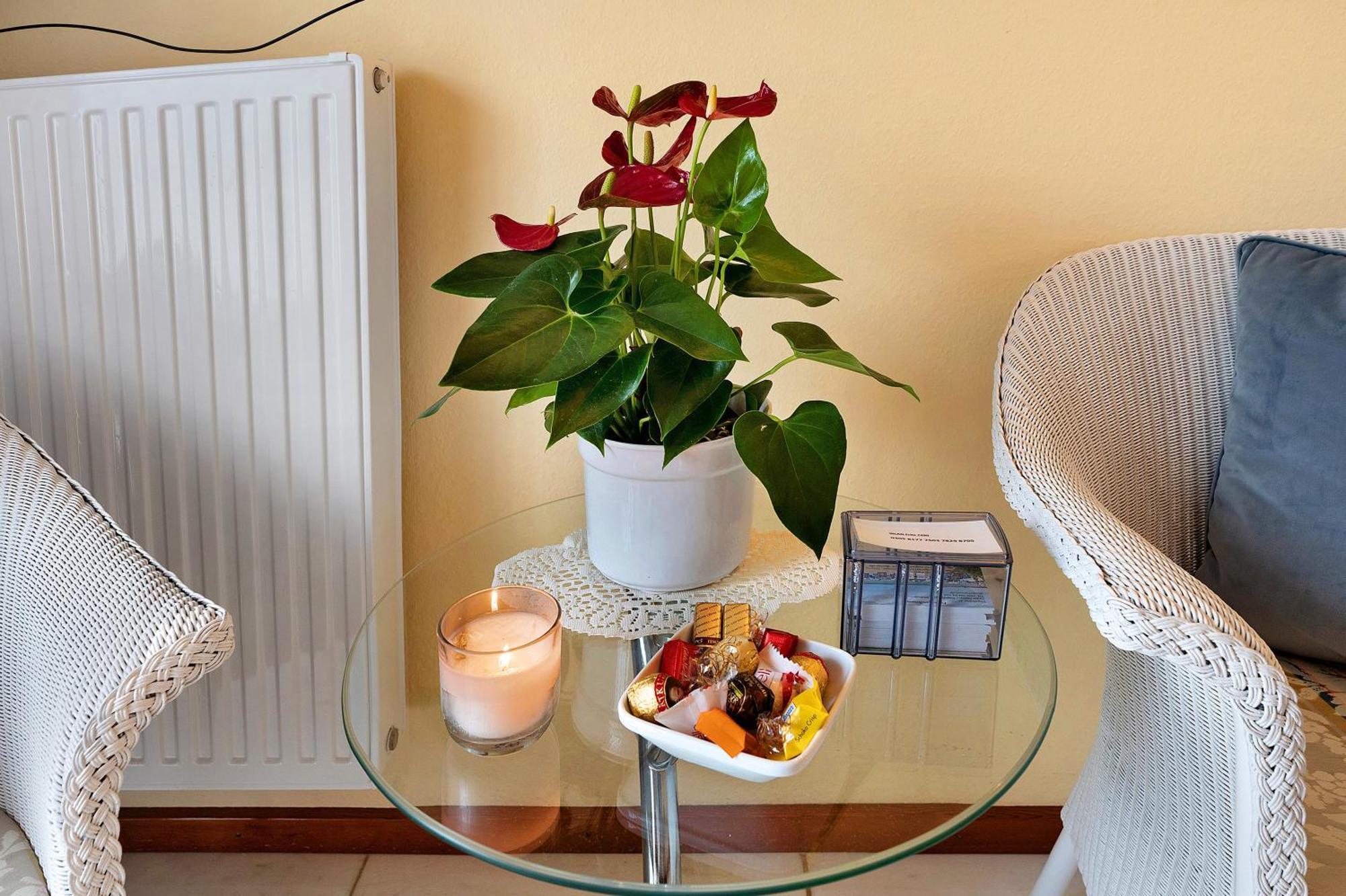 Ferienwohnung 1 Damp Εξωτερικό φωτογραφία